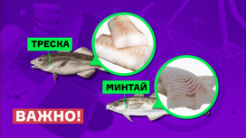 Кадр из программы "Всероссийский потребительский проект "Тест". Треска