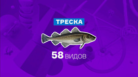 Кадр из программы "Всероссийский потребительский проект "Тест". Треска