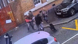 видео где собака спасла ребенка