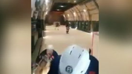 подлодка на хоккейном поле. Смотреть фото подлодка на хоккейном поле. Смотреть картинку подлодка на хоккейном поле. Картинка про подлодка на хоккейном поле. Фото подлодка на хоккейном поле