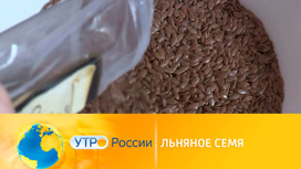 чем размельчить семена льна. Смотреть фото чем размельчить семена льна. Смотреть картинку чем размельчить семена льна. Картинка про чем размельчить семена льна. Фото чем размельчить семена льна