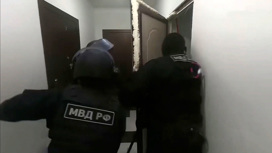 6 задержали телефонных мошенников в москве