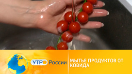 Если не мыть фрукты и овощи перед употреблением чем можно заболеть. Смотреть фото Если не мыть фрукты и овощи перед употреблением чем можно заболеть. Смотреть картинку Если не мыть фрукты и овощи перед употреблением чем можно заболеть. Картинка про Если не мыть фрукты и овощи перед употреблением чем можно заболеть. Фото Если не мыть фрукты и овощи перед употреблением чем можно заболеть