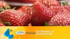 Что такое клетчатка клубника. 4. Что такое клетчатка клубника фото. Что такое клетчатка клубника-4. картинка Что такое клетчатка клубника. картинка 4. Елена Рябова с гордостью обходит свои клубничные владения. На грядках ягоды появятся только через две недели, зато вот в теплице уже можно собирать первый в этом году урожай. Хватит и на семью, и чтобы угостить соседей.