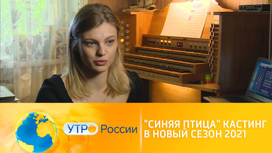 шоу синяя птица лучшее. Смотреть фото шоу синяя птица лучшее. Смотреть картинку шоу синяя птица лучшее. Картинка про шоу синяя птица лучшее. Фото шоу синяя птица лучшее