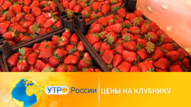 Клубника из Ливана
