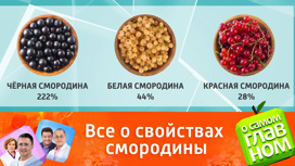 что лучше черная или красная смородина. Смотреть фото что лучше черная или красная смородина. Смотреть картинку что лучше черная или красная смородина. Картинка про что лучше черная или красная смородина. Фото что лучше черная или красная смородина