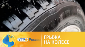 Если шишка на колесе что делать. Смотреть фото Если шишка на колесе что делать. Смотреть картинку Если шишка на колесе что делать. Картинка про Если шишка на колесе что делать. Фото Если шишка на колесе что делать