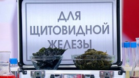 какие фрукты полезны при щитовидной железе. Смотреть фото какие фрукты полезны при щитовидной железе. Смотреть картинку какие фрукты полезны при щитовидной железе. Картинка про какие фрукты полезны при щитовидной железе. Фото какие фрукты полезны при щитовидной железе