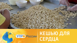 какой кешью полезнее жареный или сушеный. Смотреть фото какой кешью полезнее жареный или сушеный. Смотреть картинку какой кешью полезнее жареный или сушеный. Картинка про какой кешью полезнее жареный или сушеный. Фото какой кешью полезнее жареный или сушеный