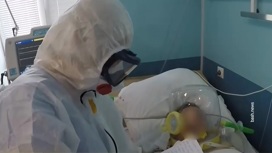 что случилось с рошалем доктором