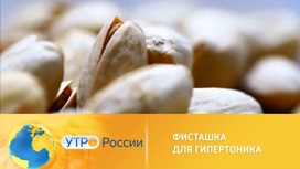 какие животные едят фисташки. Смотреть фото какие животные едят фисташки. Смотреть картинку какие животные едят фисташки. Картинка про какие животные едят фисташки. Фото какие животные едят фисташки