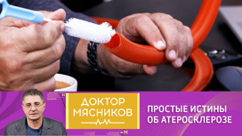 Что говорит доктор мясников о статинах видео. Смотреть фото Что говорит доктор мясников о статинах видео. Смотреть картинку Что говорит доктор мясников о статинах видео. Картинка про Что говорит доктор мясников о статинах видео. Фото Что говорит доктор мясников о статинах видео