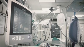 Бледанс снова в тюрьме за что. 4. Бледанс снова в тюрьме за что фото. Бледанс снова в тюрьме за что-4. картинка Бледанс снова в тюрьме за что. картинка 4.