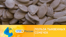 Для чего едят тыквенные семечки. Смотреть фото Для чего едят тыквенные семечки. Смотреть картинку Для чего едят тыквенные семечки. Картинка про Для чего едят тыквенные семечки. Фото Для чего едят тыквенные семечки