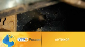 Угроза для общества машина. Смотреть фото Угроза для общества машина. Смотреть картинку Угроза для общества машина. Картинка про Угроза для общества машина. Фото Угроза для общества машина