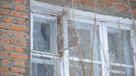 макаронная походка что это. Смотреть фото макаронная походка что это. Смотреть картинку макаронная походка что это. Картинка про макаронная походка что это. Фото макаронная походка что это