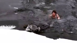 В Воронежской области 65-летняя женщина нырнула в ледяную воду за собакой