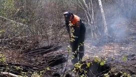 Пик пожар. Сгоревший лес. Лесные пожары в России 2022. Пожар 3 июня 2022 года.