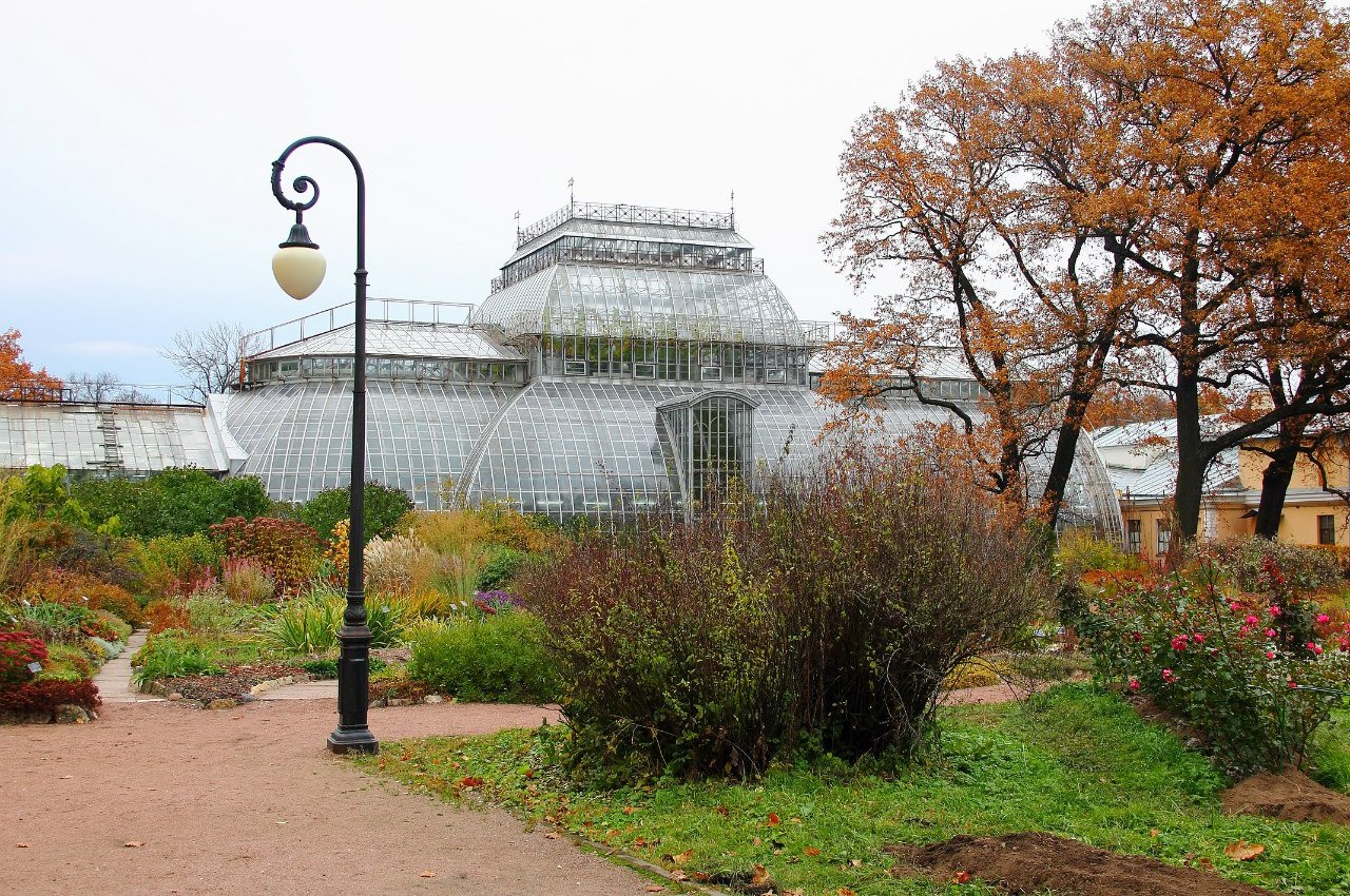 Ботанический сад Петра Великого осенью Санкт-Петербург
