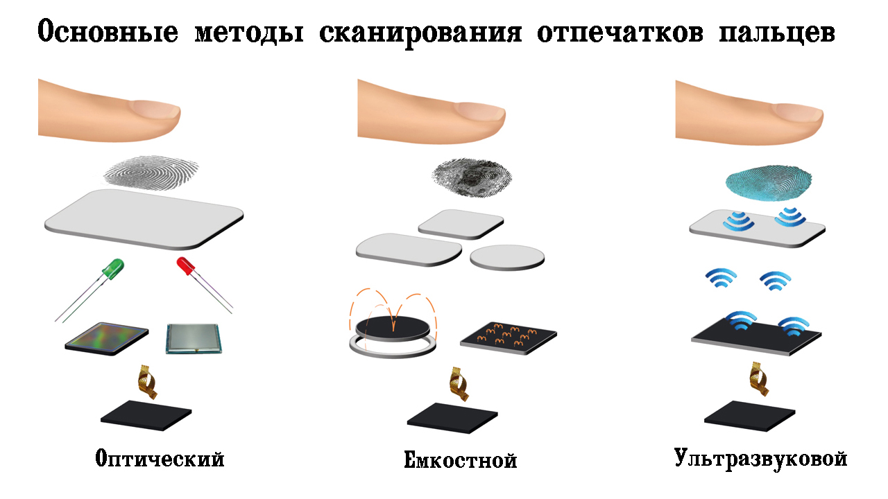 Емкостные сенсоры сканирующие рисунок на коже пальцев сканирование этого узора происходит