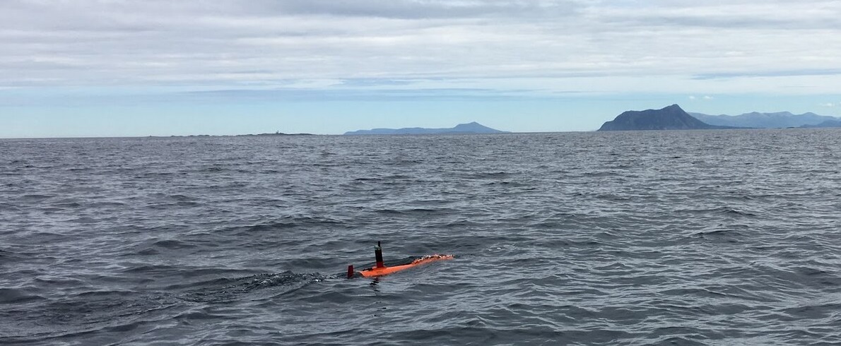 Беспилотник Harald AUV на охоте на "пятна" фитопланктона.