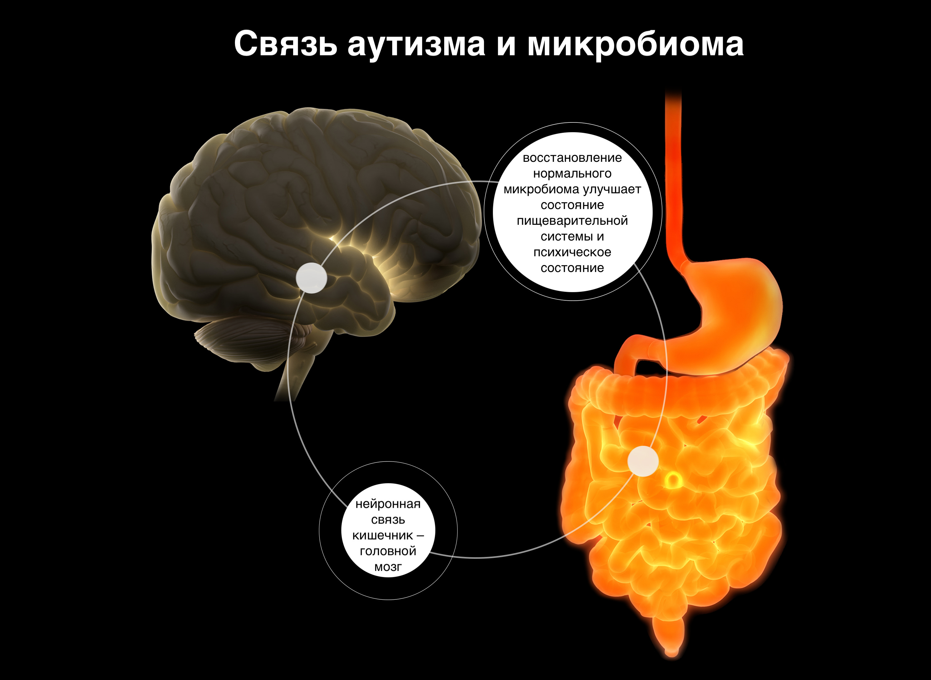 Ð£ÑÑÐ½ÑÐµ Ð¿ÑÐµÐ´Ð¿Ð¾Ð»Ð°Ð³Ð°ÑÑ, ÑÑÐ¾ Ð¼Ð¸ÐºÑÐ¾ÑÐ»Ð¾ÑÐ° ÐºÐ¸ÑÐµÑÐ½Ð¸ÐºÐ° Ð²Ð»Ð¸ÑÐµÑ Ð½Ð° Ð¿ÑÐ¾ÑÐµÑÑ Ð¿ÐµÑÐµÐ´Ð°ÑÐ¸ Ð¸Ð½ÑÐ¾ÑÐ¼Ð°ÑÐ¸Ð¸ Ð² Ð³Ð¾Ð»Ð¾Ð²Ð½Ð¾Ð¹ Ð¼Ð¾Ð·Ð³ Ð¸ Ð½Ð° ÑÐ¾ÑÑÐ¾ÑÐ½Ð¸Ðµ Ð½ÐµÑÐ²Ð½Ð¾Ð¹ ÑÐ¸ÑÑÐµÐ¼Ñ Ð² ÑÐµÐ»Ð¾Ð¼.