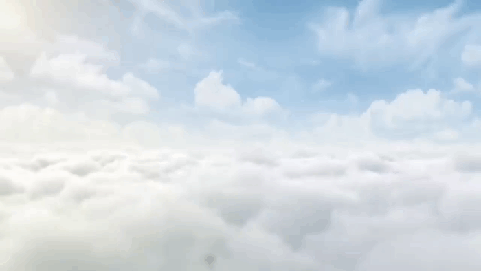 Сравнение Xiaomi Poco X3 NFC и Huawei Honor 9X Premium: что лучше? | NR