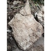 Фрагмент каменной стелы, пострадавшей во время пожара в Вицне. Артефакт датирован 650-750 годами нашей эры.