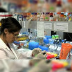 Генетики в США смогли создать искусственную жизнь - простую клетку микоплазмы. После того, как они выстроили её цепочку ДНК и подсадили в донорскую клетку, паразит ожил и стал размножаться. 