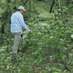 Исследователь Крис Бальзотти поднимается по древней лестнице, обнаруженной в воронке недалеко от Кобы.