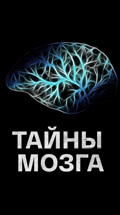 Тайны мозга