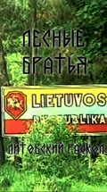 Лесные братья. Литовский раскол