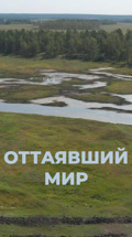 Оттаявший мир