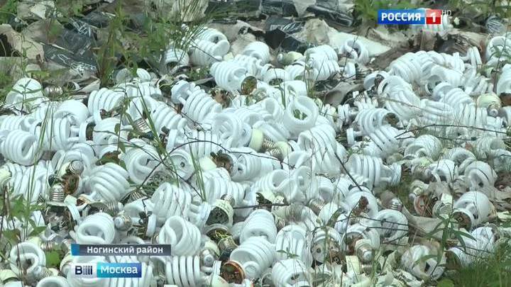 В Ногинском районе Подмосковья обнаружена свалка люминесцентных ламп