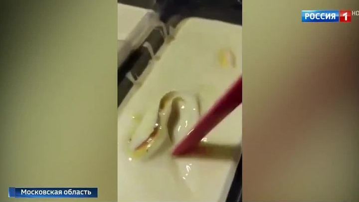 5 В сгущенке что то черное