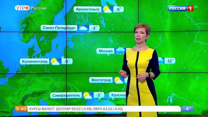 Елена Волосюк Ножки