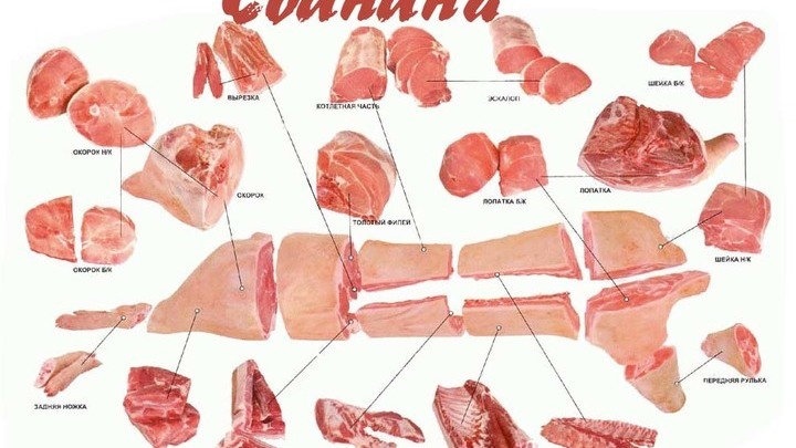 Пашина Что Это Такое Фото