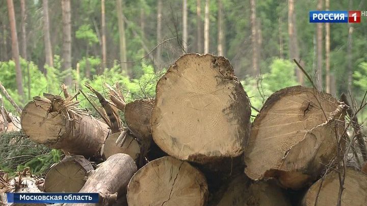 Что будет с санаторием подлипки. Смотреть фото Что будет с санаторием подлипки. Смотреть картинку Что будет с санаторием подлипки. Картинка про Что будет с санаторием подлипки. Фото Что будет с санаторием подлипки