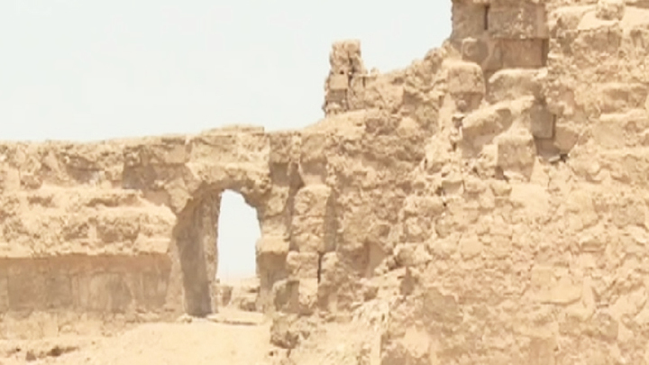 Древний сирийский город Расафа освобожден от боевиков