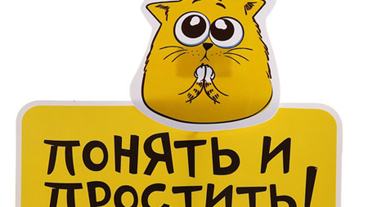 смешные коты фото понять и простить выпустили