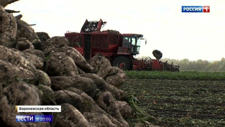 Жители какой страны придумали дарить подарки в новый год Жители какой страны придумали дарить подарки в новый год