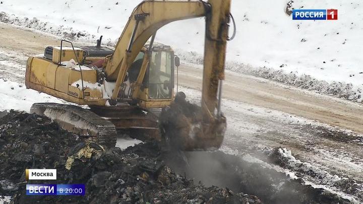 запах тухлой капусты в воздухе что это. запах тухлой капусты в воздухе что это фото. картинка запах тухлой капусты в воздухе что это. смотреть фото запах тухлой капусты в воздухе что это. смотреть картинку запах тухлой капусты в воздухе что это.