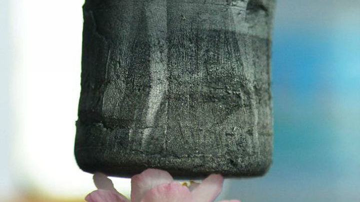 Кусочек графенового аэрогеля, помещённый на лепестки цветка, демонстрирует низкую плотность и небольшой вес нового материала 