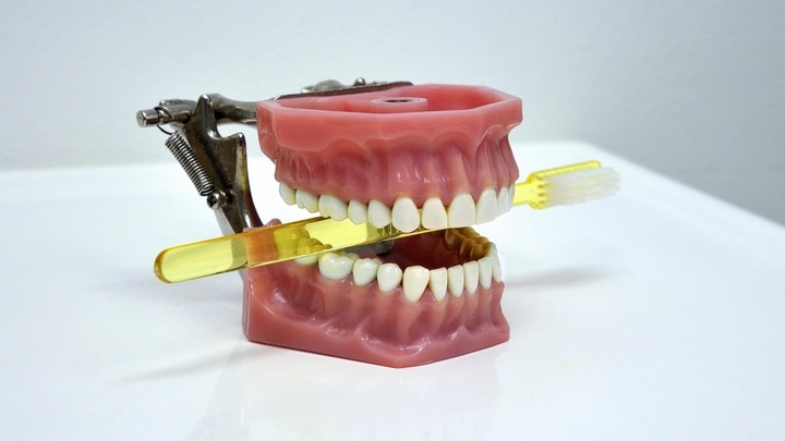 Полифенолы, которые содержатся в красном вине и виноградных косточках, защищают зубы и дёсны на молекулярном уровне. 