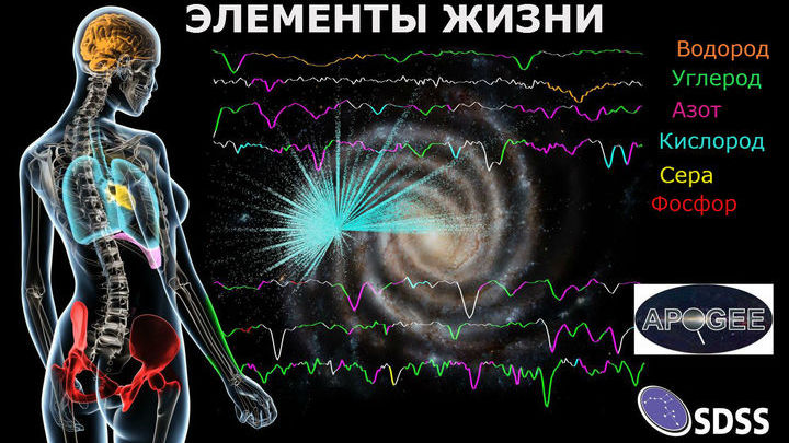 Шесть самых распространённых элементов жизни на Земле - углерод, водород, азот, кислород, сера и фосфор.