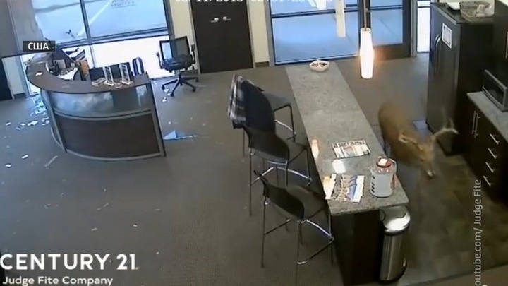 pristavanie-v-ofise-video-smotret-doktor-trahnul-patsientku