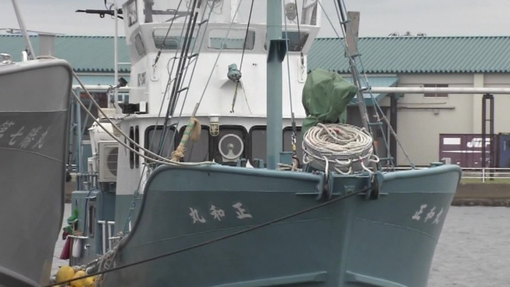 Япония возобновляет охоту на китов