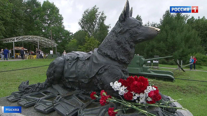 Памятник фронтовой собаке на поклонной