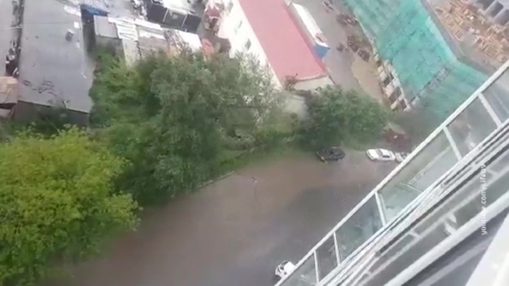Владивостокские девушки по вызову негритянками